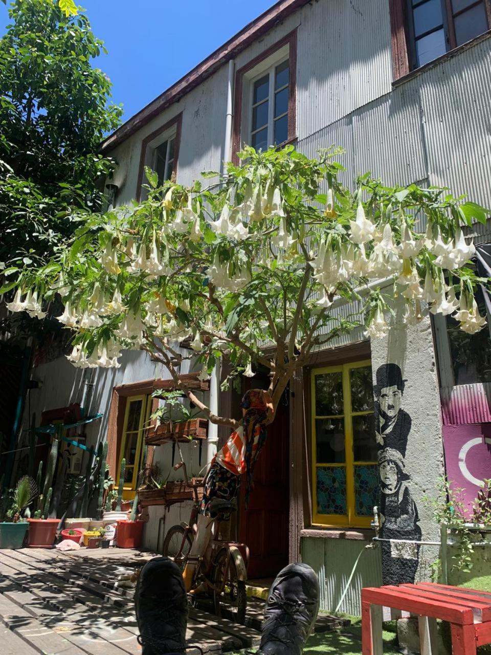 Art Hostel Casa Chaman Valparaíso Exteriör bild
